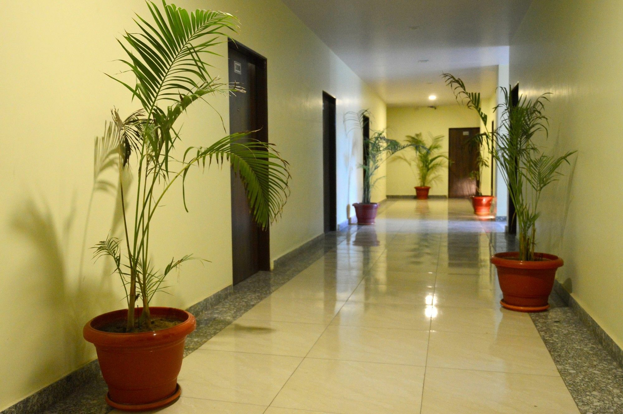 Oyo 6697 Hotel Green Lemon Dzsaipur Kültér fotó